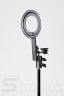 20130204-new-store-strobius-001.jpg