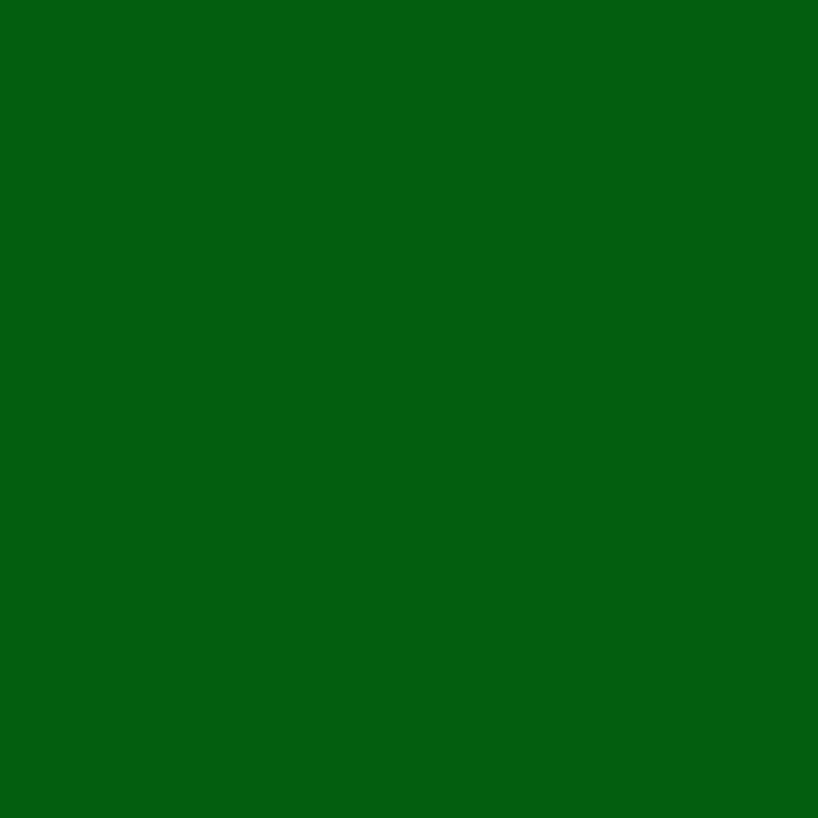 Фильтр 124 Dark Green 122х122 см